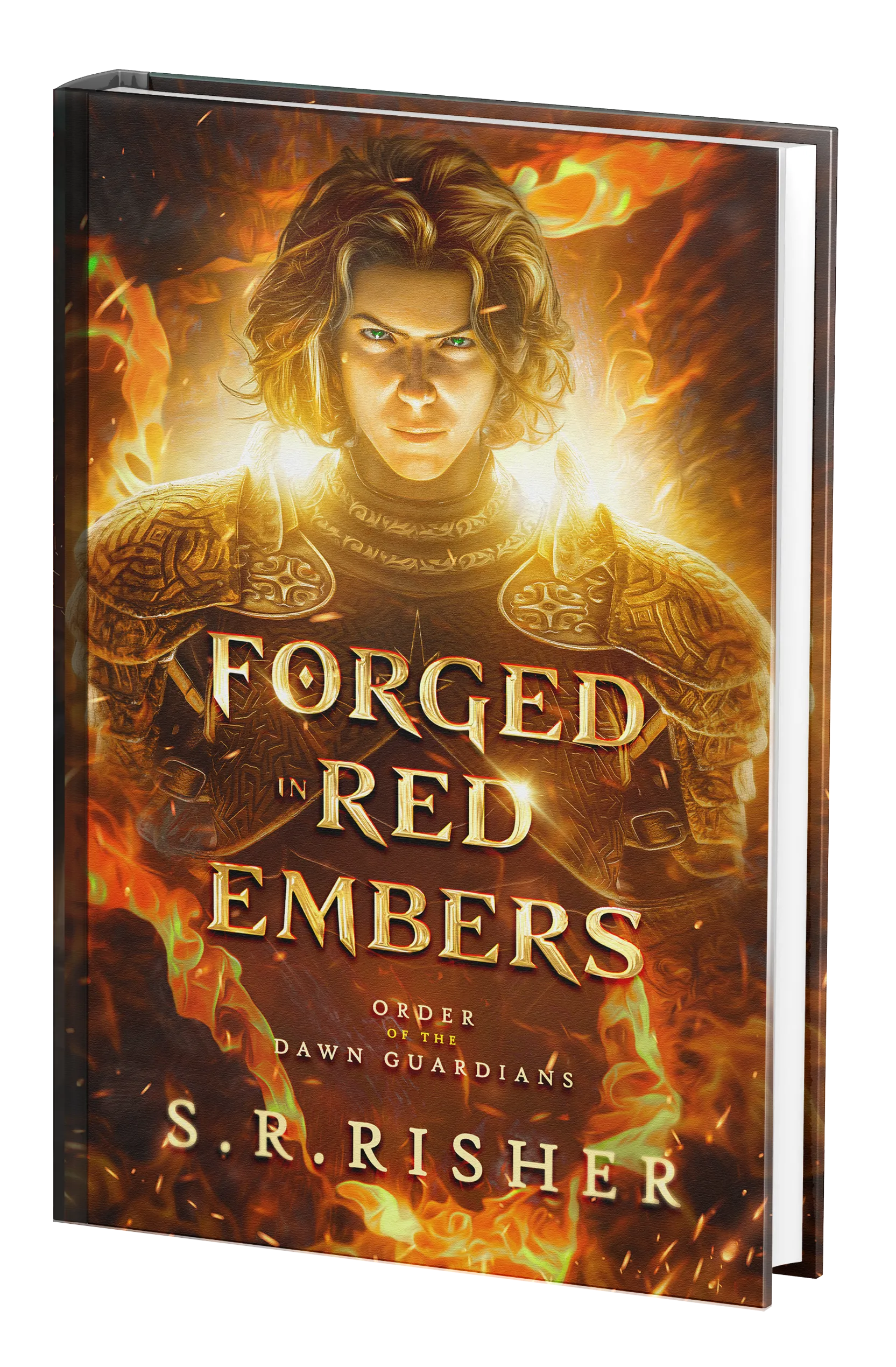 Order of the Dawn Guardians 3D book cover